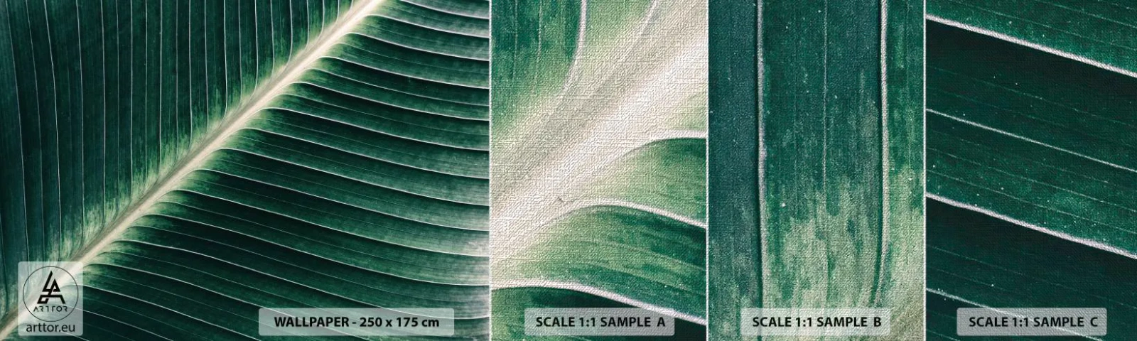 Fototapeten Muster Premium Canvas - Rhythmus der Natur - Abstraktion, Grünes Blatt, Grafik - 100x30 cm