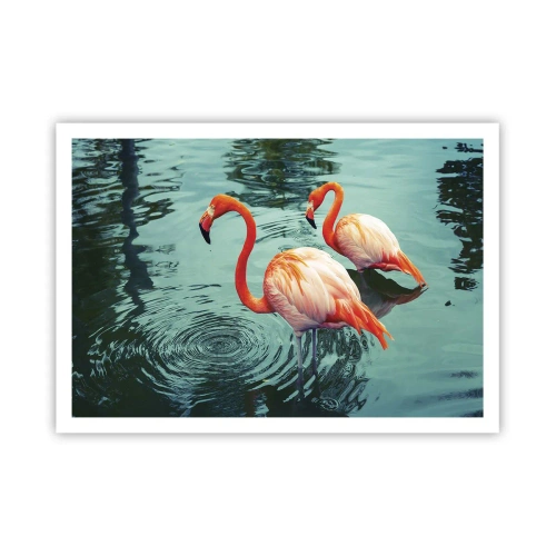 Poster - Zwei Flamingos im ruhigen Wasser spiegeln ihre Umgebung wider - 100x70cm - Wir sind jetzt in Mode - Moderne Wanddekoration für Wohnzimmer und Schlafzimmer ARTTOR