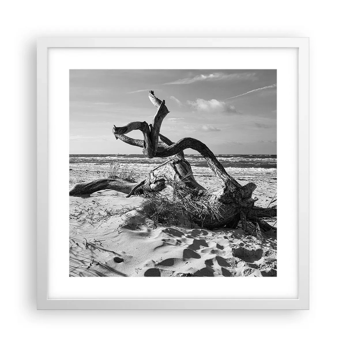 Poster in einem weißen Rahmen - Meeresskulptur - 40x40 cm