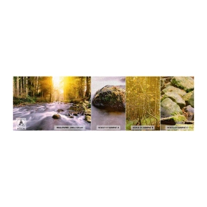 Fototapeten Muster Premium Canvas - Malachit im Silber- und Goldrahmen - Landschaft, Gebirgsbach, Wald - 100x30 cm