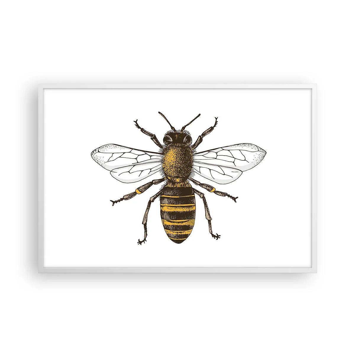 Poster in einem weißen Rahmen - Schön und gut - 91x61 cm