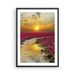 Poster in einem schwarzem Rahmen - Ein Feld mit rosa Seerosen bei Sonnenuntergang - 50x70cm - Das geheime Leben des Sees - Moderne Wanddekoration für Wohnzimmer und Schlafzimmer ARTTOR