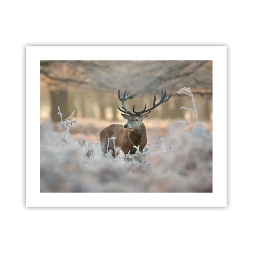 Poster - Ein flotter Morgen - 50x40 cm