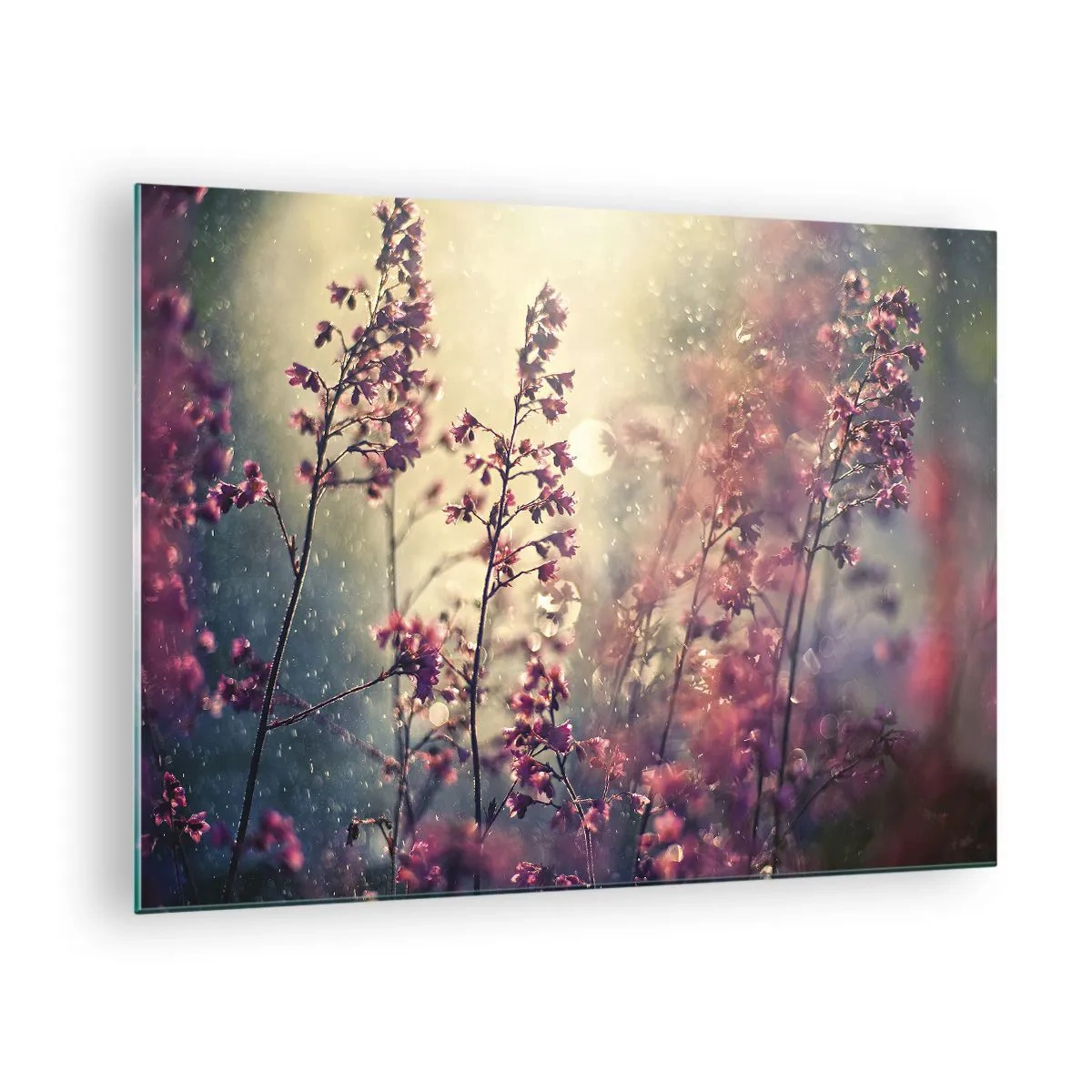 Glasbild - Bild auf glas - Blumen im Sonnenlicht im sanften Regen - 70x50cm - Geheimnisvoller Garten - Moderne Wanddekoration für Wohnzimmer und Schlafzimmer ARTTOR