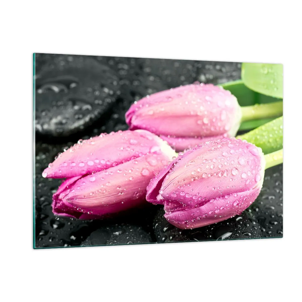 Glasbild - Bild auf glas - Drei rosa Tulpen mit Wassertropfen bedeckt auf schwarzem Hintergrund. - 120x80cm - Liladrei auf schwarzem Stein - Moderne Wanddekoration für Wohnzimmer und Schlafzimmer ARTTOR