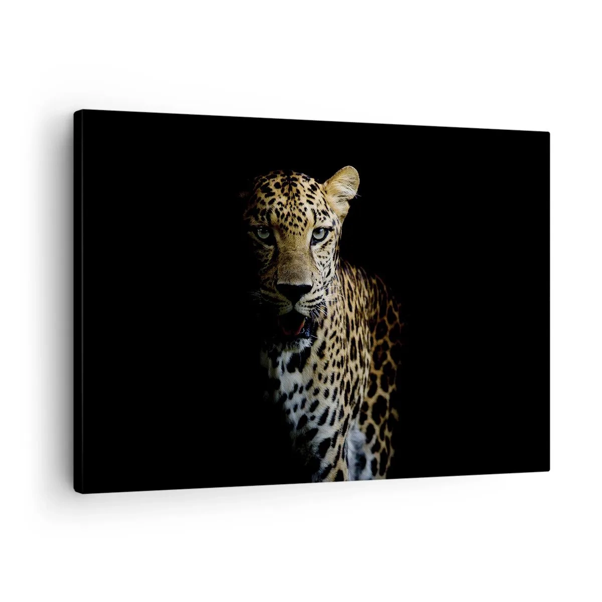 Bild auf Leinwand - Leinwandbild - Ein Leopard auf dunklem Hintergrund mit intensivem Blick - 70x50cm - Dunkle Schönheit - Moderne Wanddekoration für Wohnzimmer und Schlafzimmer ARTTOR