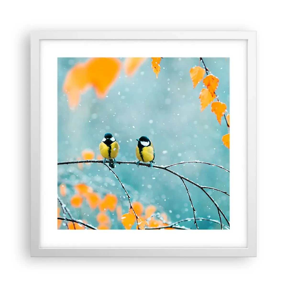 Poster in einem weißen Rahmen - Vogelklatsch - 40x40 cm