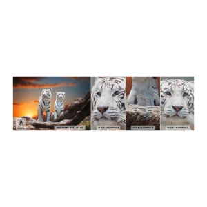Fototapeten Muster Premium Sand - Genau wie Narnia - Tiere, Tiger, Sonnenuntergang - 100x30 cm
