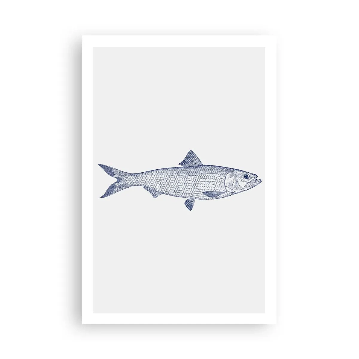 Poster - Grüße aus den nördlichen Meeren - 61x91 cm