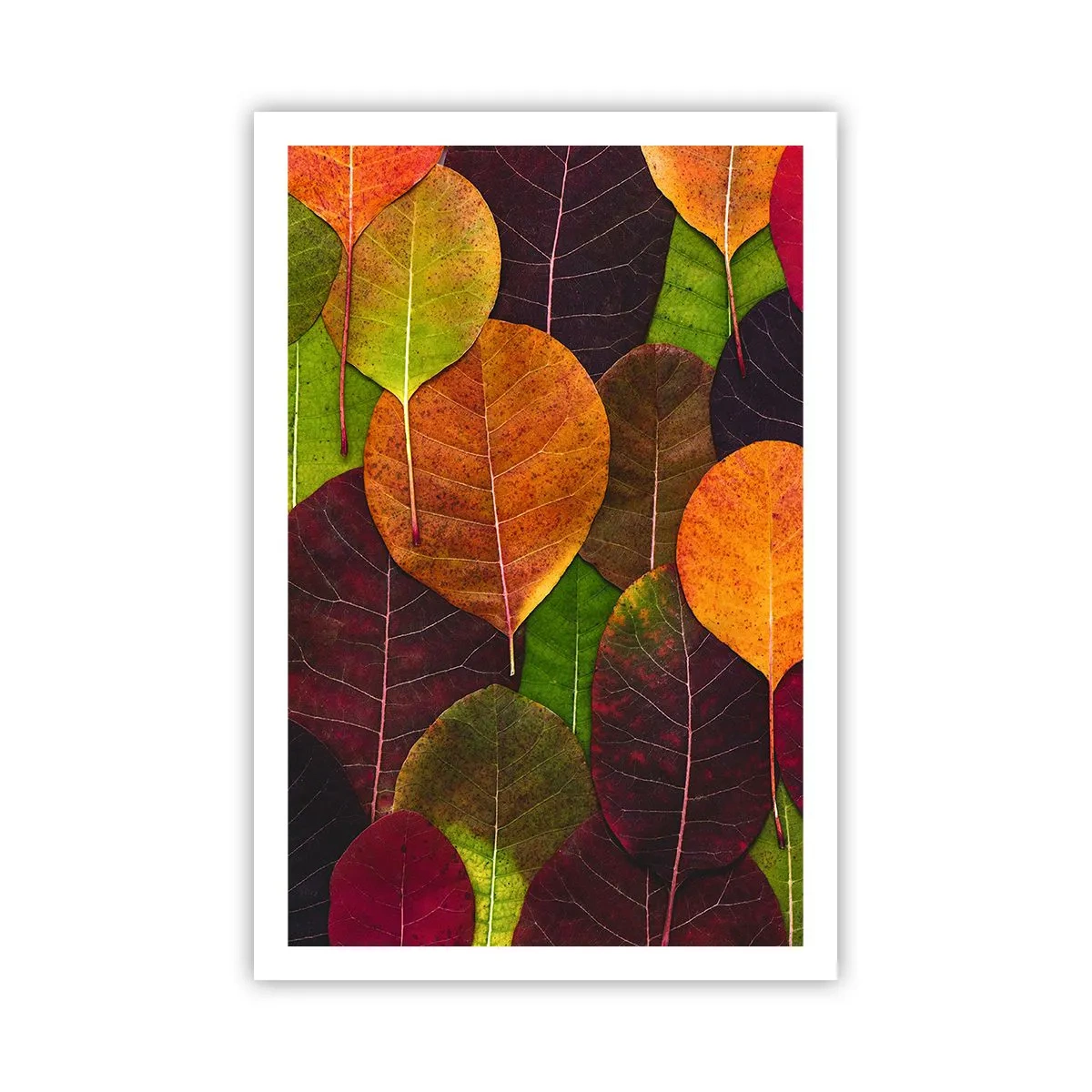 Poster - Herbstmosaik - 61x91 cm
