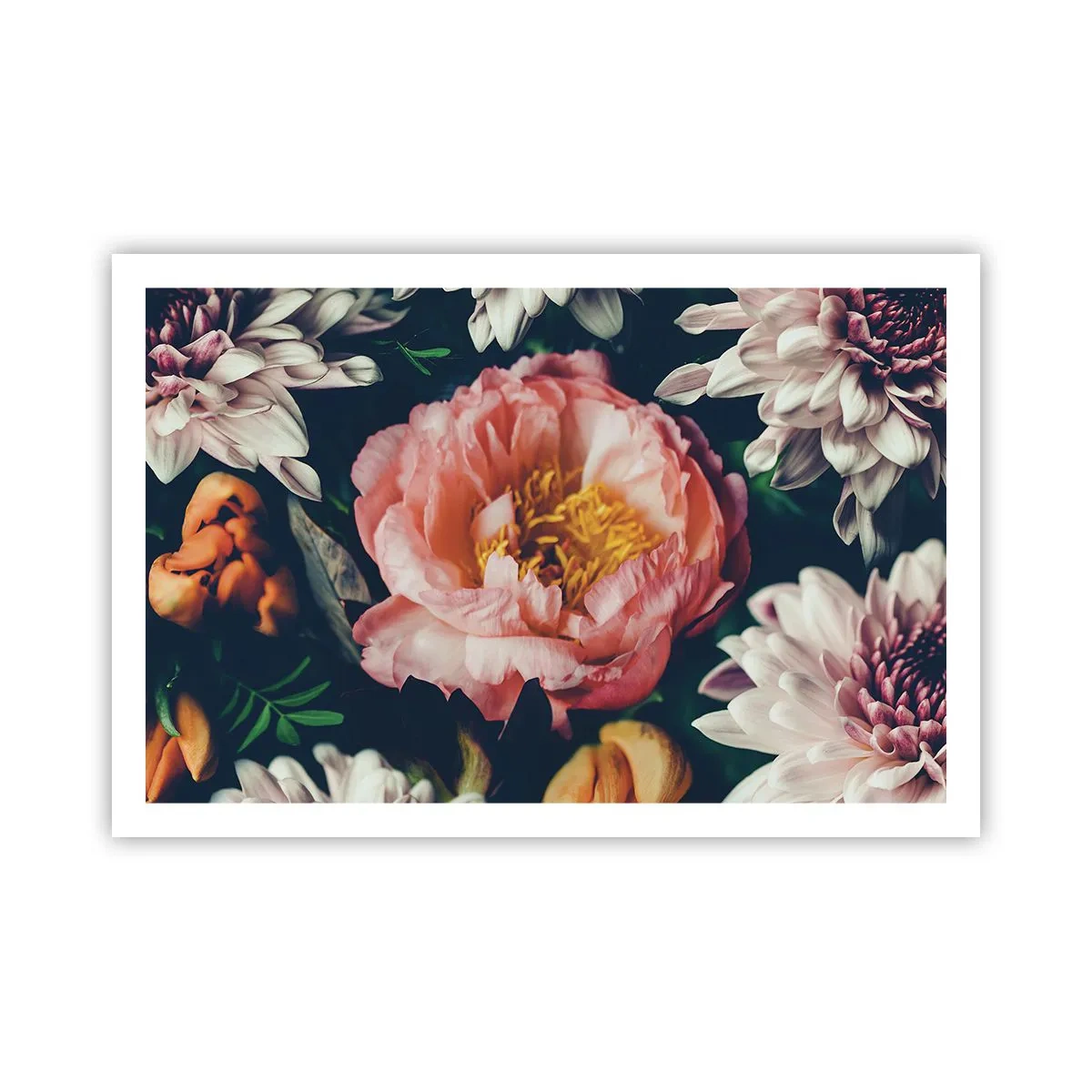 Poster - Mit barocker Pracht - 91x61 cm