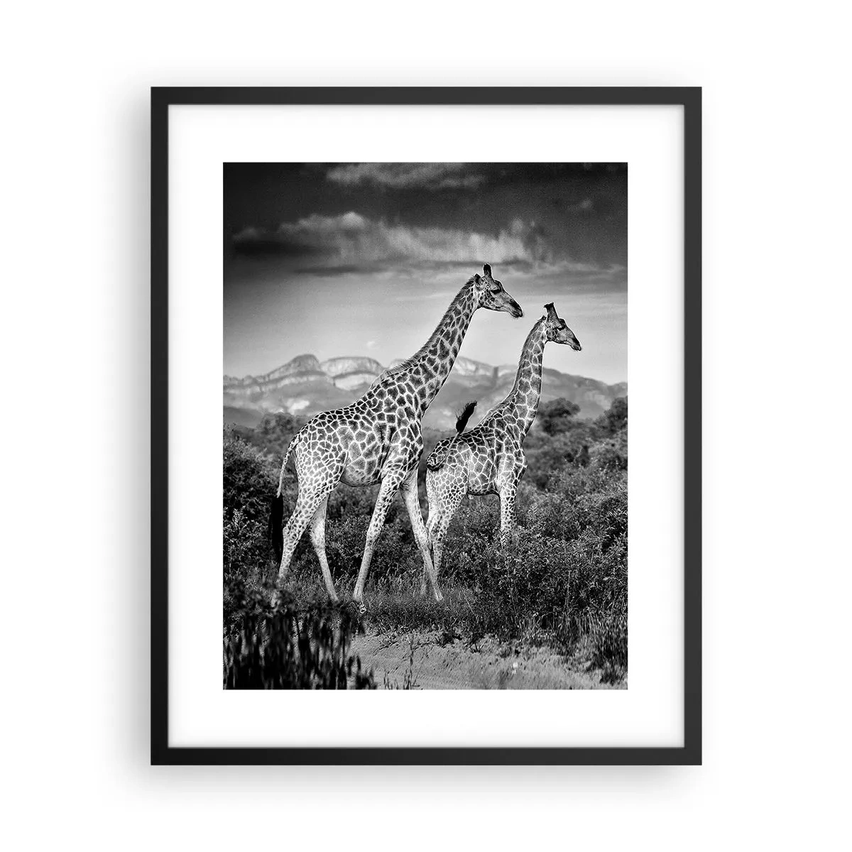 Poster in einem schwarzem Rahmen - Hohe Sphären in Afrika - 40x50 cm