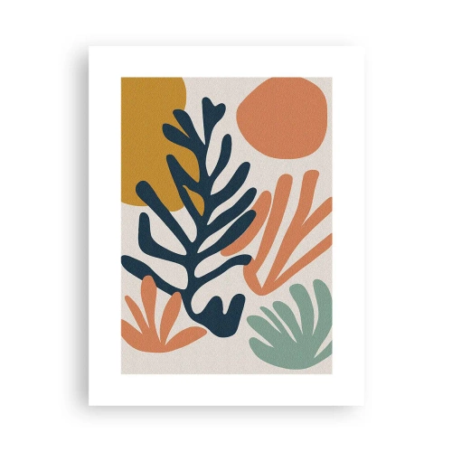 Poster - Korallenmeere - 30x40 cm