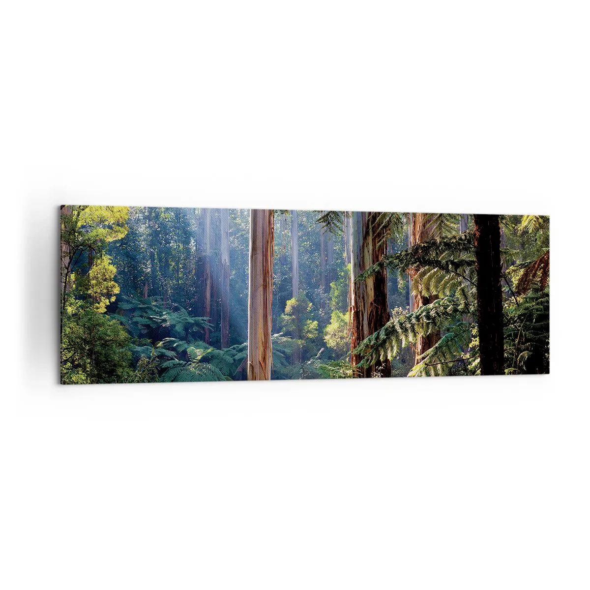 Bild auf Leinwand - Leinwandbild - Tropischer Wald, beleuchtet von den Sonnenstrahlen - 160x50cm - Ein Waldmärchen - Moderne Wanddekoration für Wohnzimmer und Schlafzimmer ARTTOR