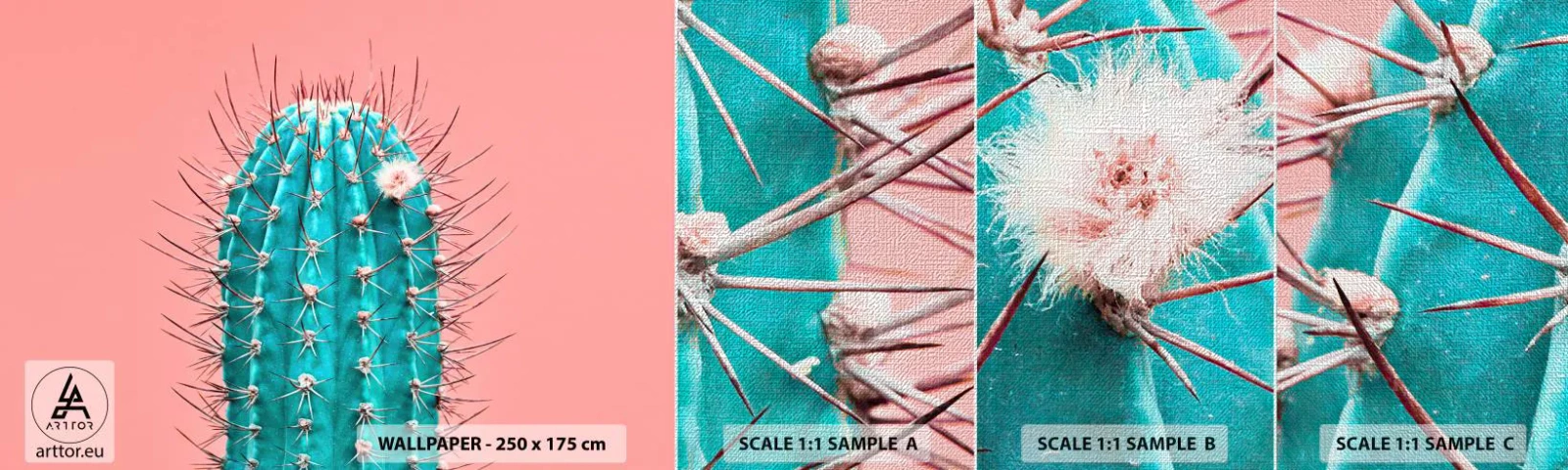 Fototapeten Muster Premium Canvas - Schau einfach hin - Kaktus, Pastell, Minimalismus - 100x30 cm