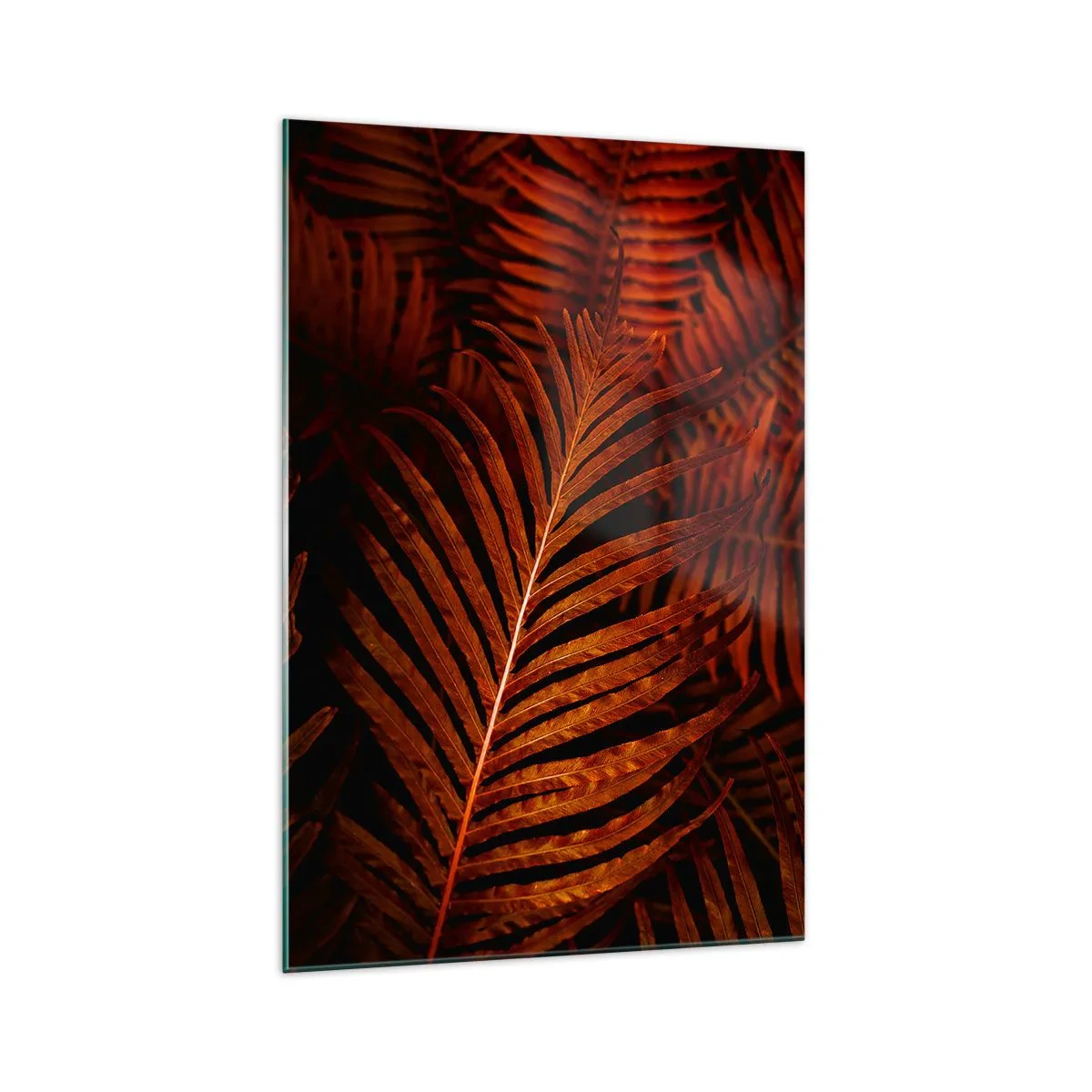 Glasbild - Bild auf glas - Nahaufnahme von roten tropischen Blättern - 70x100cm - Die Hitze des Lebens - Moderne Wanddekoration für Wohnzimmer und Schlafzimmer ARTTOR