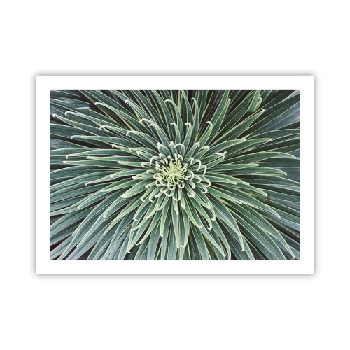 Poster - Ein Star ist geboren - 70x50 cm