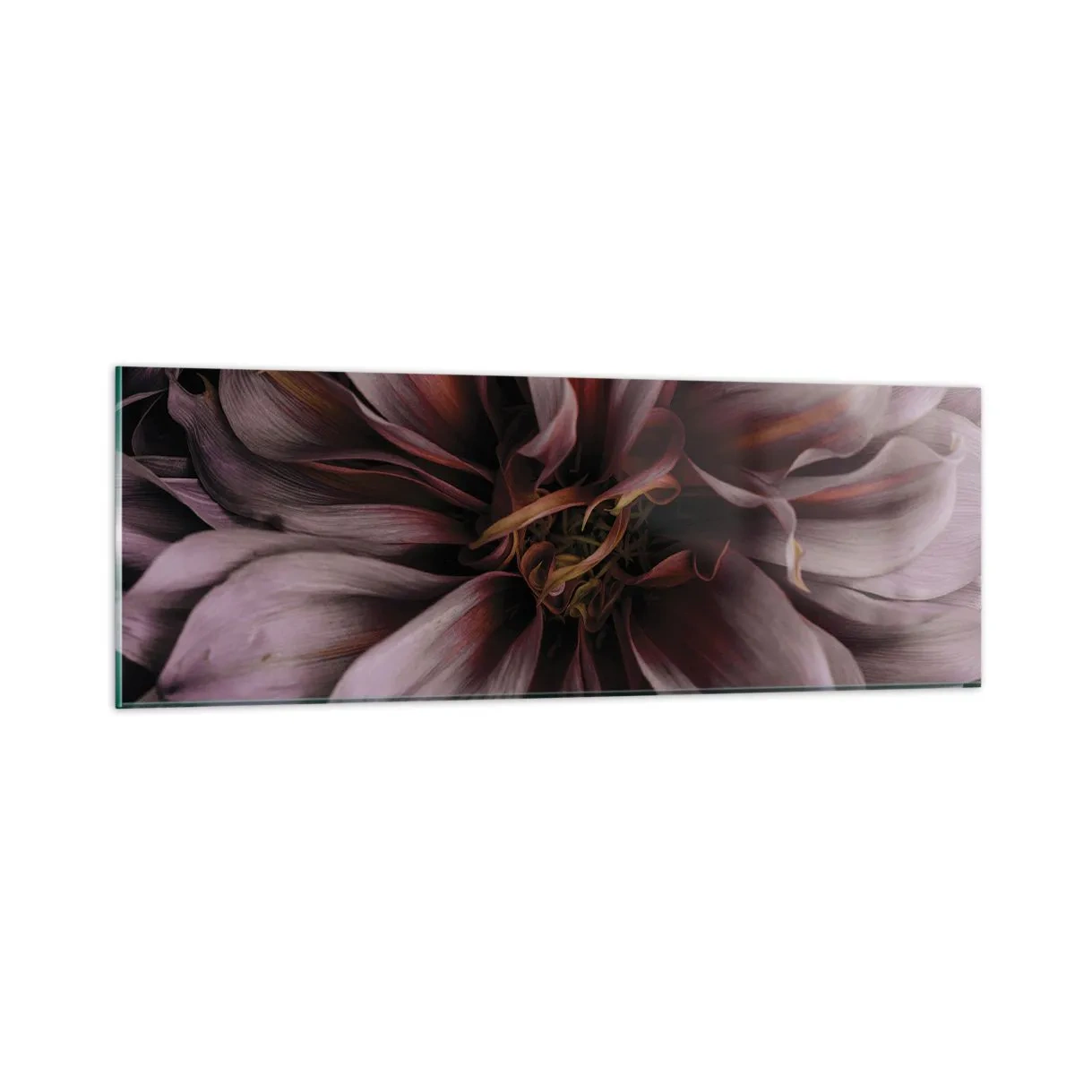 Glasbild - Bild auf glas - Ein Blumenherz - 90x30 cm