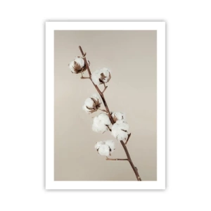 Poster - Ein Baumwollzweig auf beigem Hintergrund, im minimalistischen Stil. - 50x70cm - An der Quelle der Weichheit - Moderne Wanddekoration für Wohnzimmer und Schlafzimmer ARTTOR