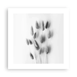 Poster - Eure flauschige Grashoheit - 40x40 cm