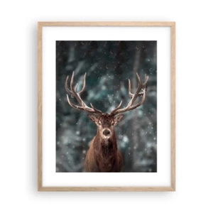 Poster in einem Rahmen aus heller Eiche - Gekrönter König des Waldes - 40x50 cm