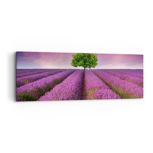 Bild auf Leinwand - Leinwandbild - Auf Lavendelfeldern - 90x30 cm