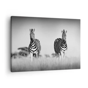 Bild auf Leinwand - Leinwandbild - Zwei Zebras in der Savanne im monochromen Stil - 70x50cm - Die Welt ist doch schwarz-weiß - Moderne Wanddekoration für Wohnzimmer und Schlafzimmer ARTTOR