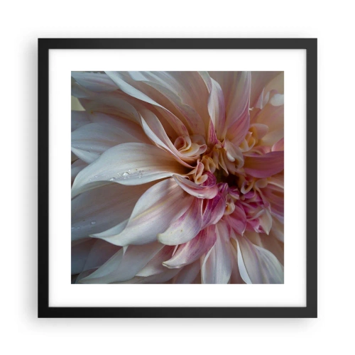 Poster in einem schwarzem Rahmen - Blühende Frische - 40x40 cm