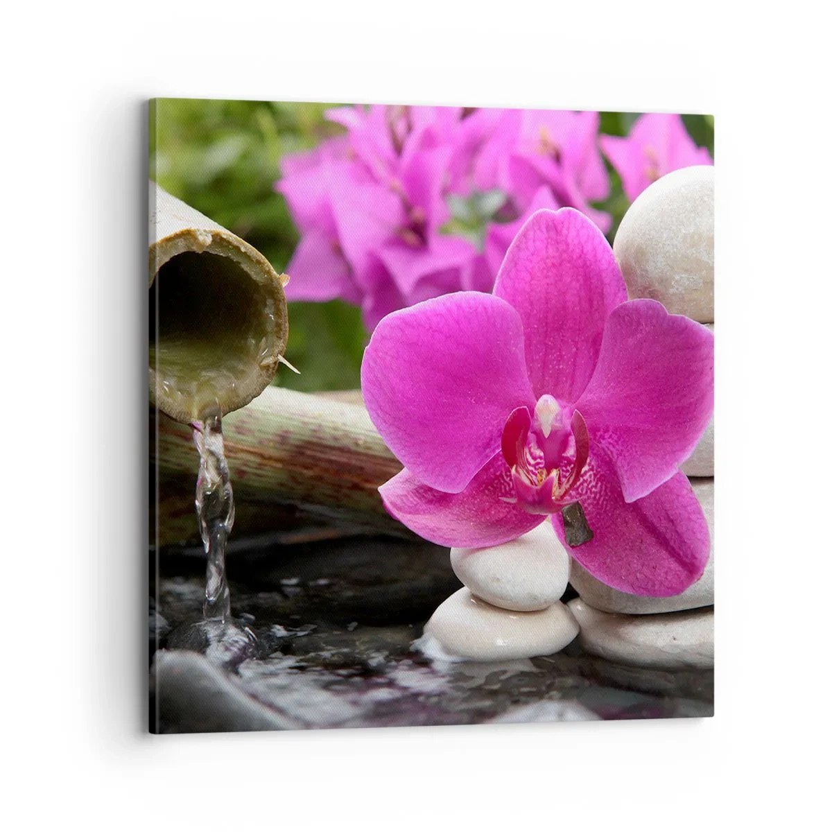 Bild auf Leinwand - Leinwandbild - Du ruhst dich schon aus - 70x70 cm