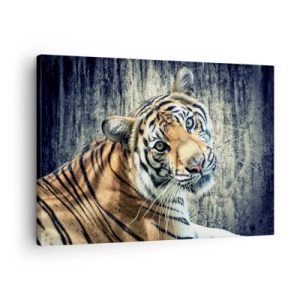 Bild auf Leinwand - Leinwandbild - Ein Tiger liegt an einer rauen Wand - 70x50cm - Portrait in Lichtstrahlen - Moderne Wanddekoration für Wohnzimmer und Schlafzimmer ARTTOR