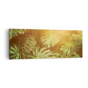 Bild auf Leinwand - Leinwandbild - Monstera-Blätter im Sonnenlicht vor einem natürlichen Hintergrund - 140x50cm - Ins Grüne tretren... - Moderne Wanddekoration für Wohnzimmer und Schlafzimmer ARTTOR