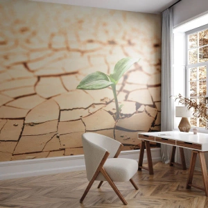 Maßgeschneiderte Fototapete Standard Eco - Die unbezähmbare Kraft des Lebens - Natur, Anlage, Trockenheit