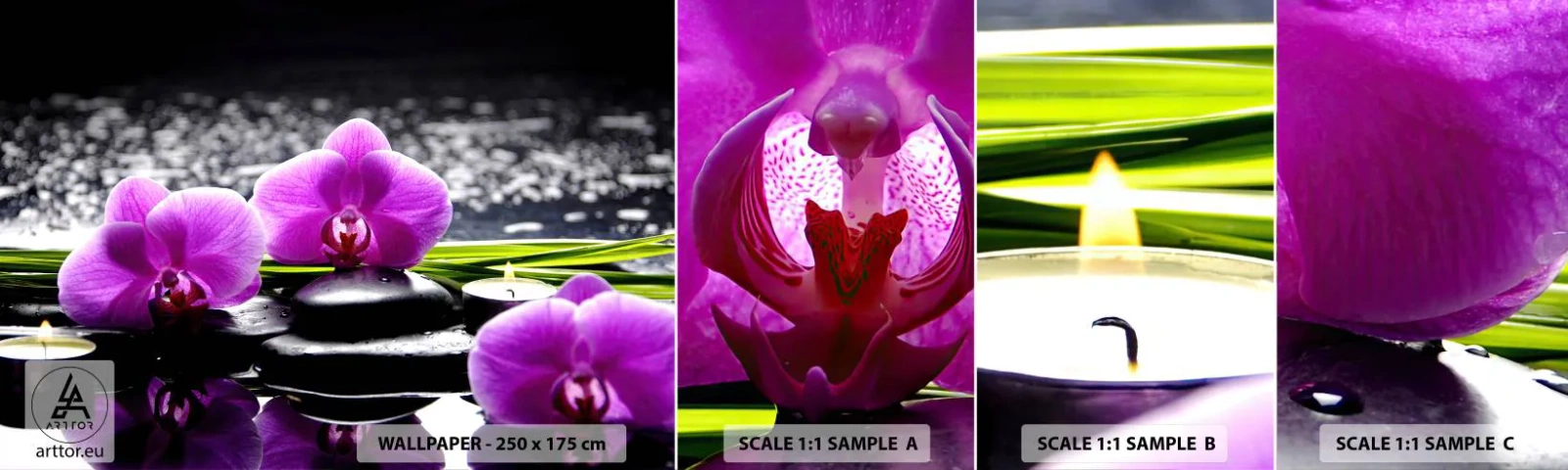 Fototapetenmuster Standard Eco - In Ruhe ertrinken - Blumen, Orchidee, Orchidee - 100x30 cm