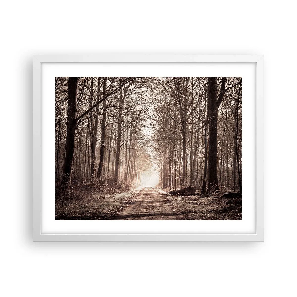 Poster in einem weißen Rahmen - Waldkathedrale - 50x40 cm