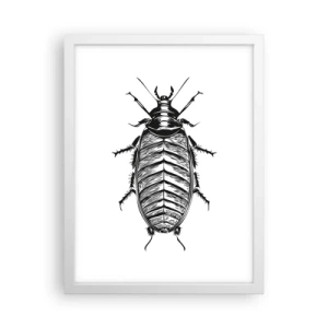 Poster in einem weißen Rahmen - Was für ein Exemplar! - 30x40 cm