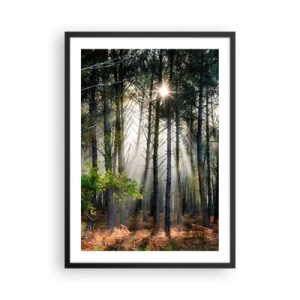 Poster in einem schwarzem Rahmen - Zauberhafte Sonnenstrahlen in der Waldlandschaft - 50x70cm - Waldgebiet - Moderne Wanddekoration für Wohnzimmer und Schlafzimmer ARTTOR