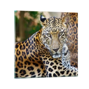 Glasbild - Bild auf glas - Wild und ruhig - 30x30 cm
