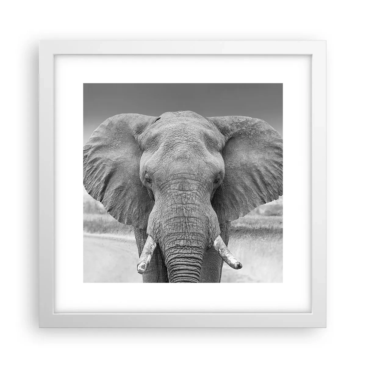 Poster in einem weißen Rahmen - Willkommen in meiner Welt - 30x30 cm