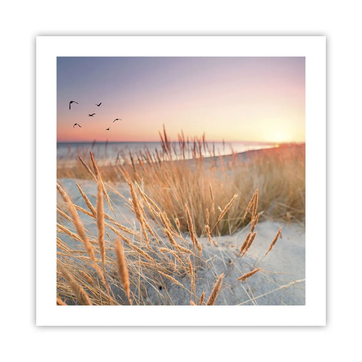 Poster - Das baltische Wiegenlied - 50x50 cm