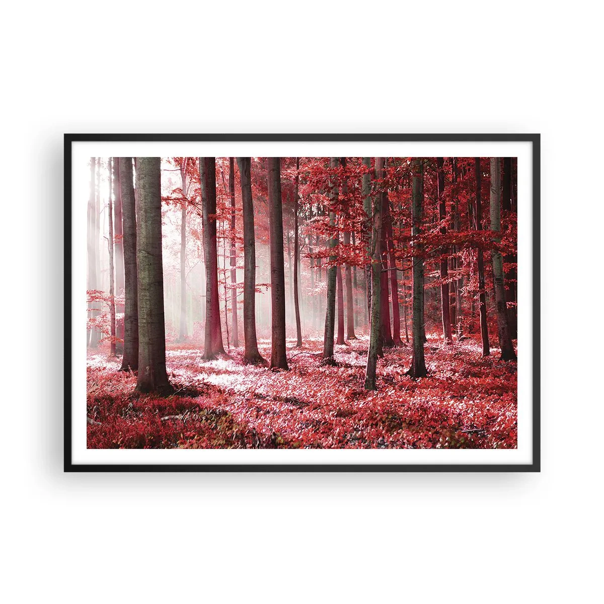 Poster in einem schwarzem Rahmen - Ein atemberaubender Wald in roten Farbtönen mit Lichtstrahlen, die durch die Bäume dringen - 100x70cm - Rot ist genauso schön - Moderne Wanddekoration für Wohnzimmer und Schlafzimmer ARTTOR