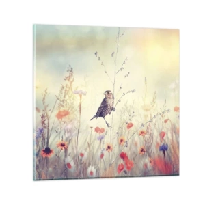 Glasbild - Bild auf glas - Vogelporträt mit einer Wiese im Hintergrund - 60x60 cm