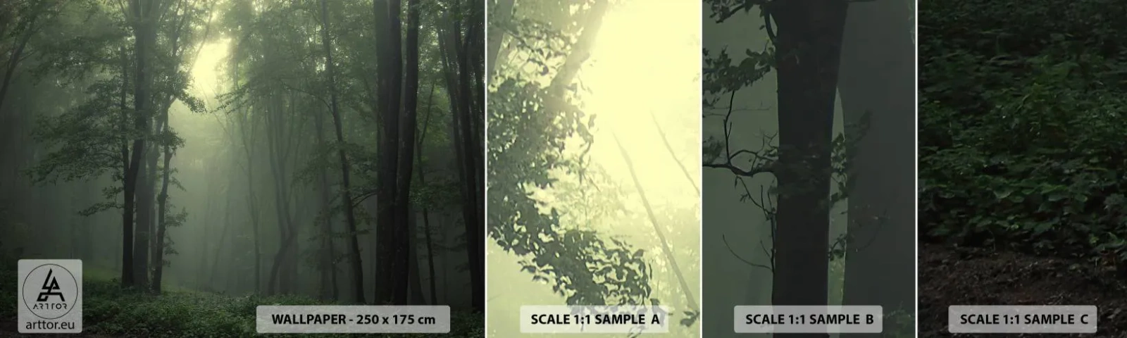 Fototapetenmuster Standard Eco - Bevor er aufwacht - Landschaft, Wald, Natur - 100x30 cm