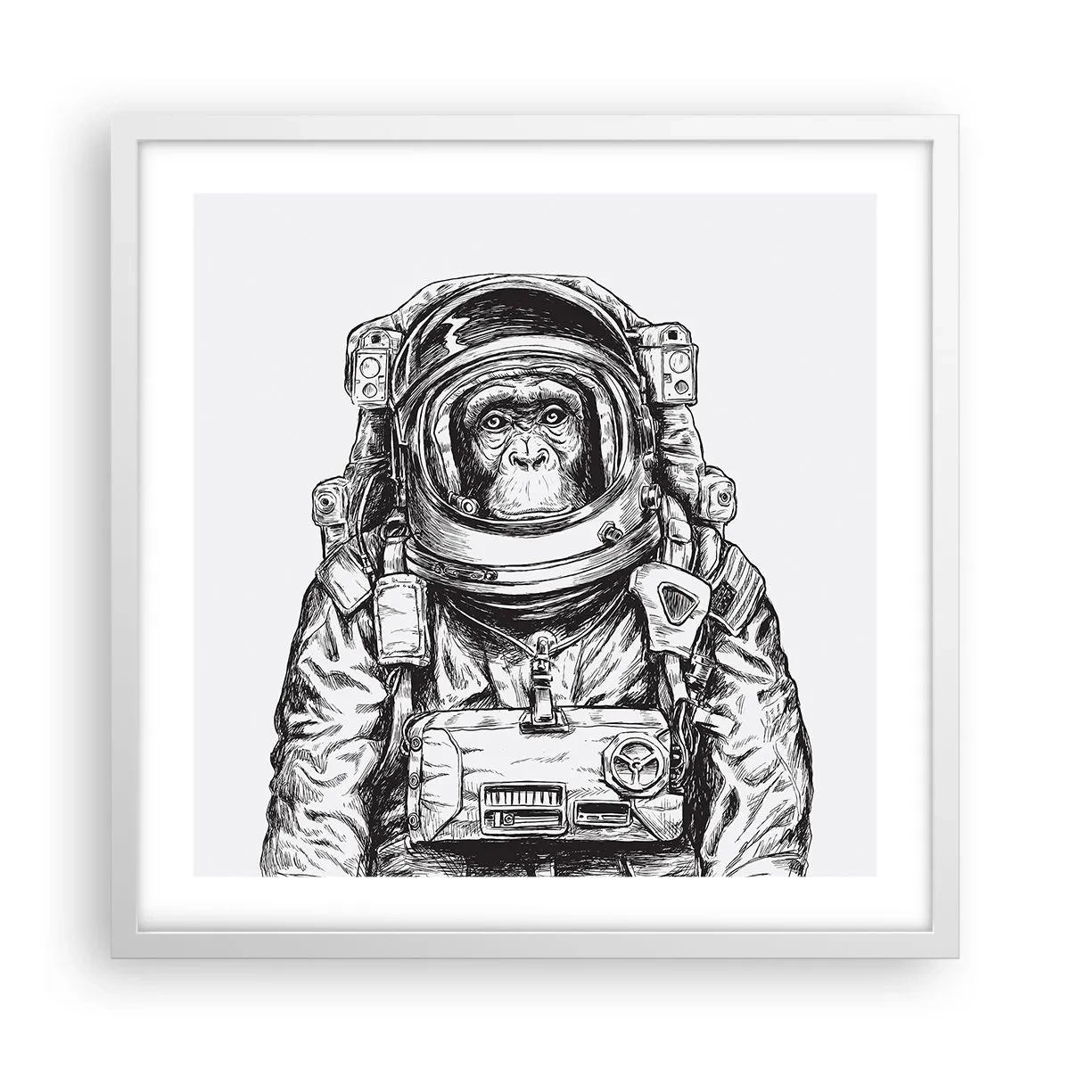 Poster in einem weißen Rahmen - Alternative Evolution - 50x50 cm