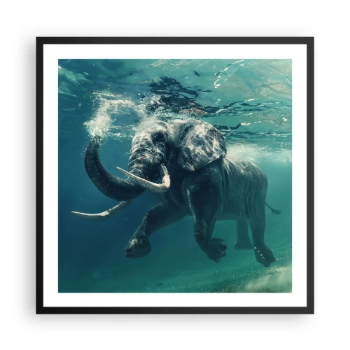 Poster in einem schwarzem Rahmen - Jeder schwimmt gerne - 60x60 cm