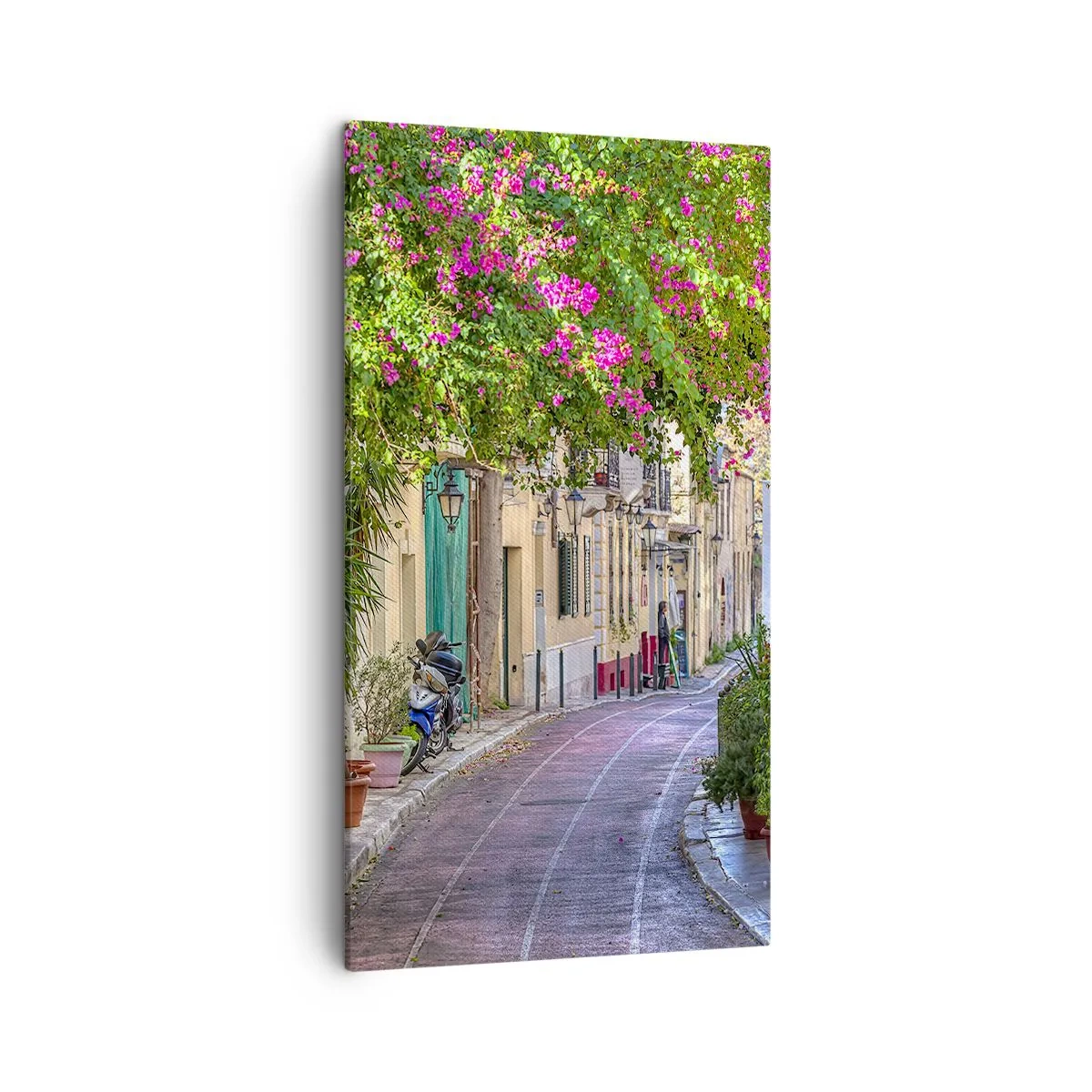 Bild auf Leinwand - Leinwandbild - Blühende Gasse - 45x80 cm