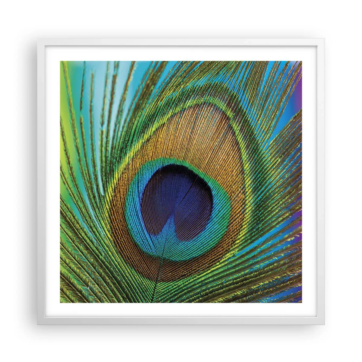 Poster in einem weißen Rahmen - Auge in Auge - 60x60 cm