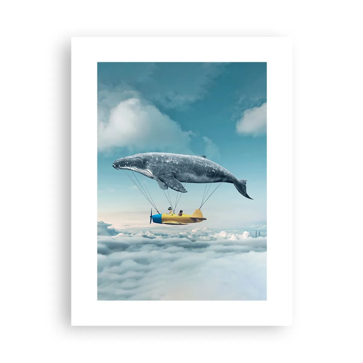 Poster - Warum nicht? - 30x40 cm