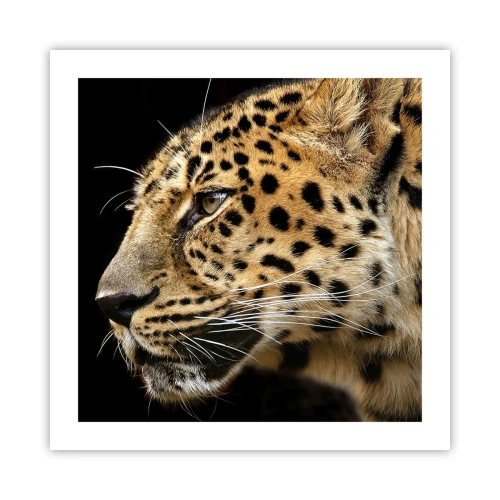 Poster - Ruhig, fokussiert, bereit - 50x50 cm