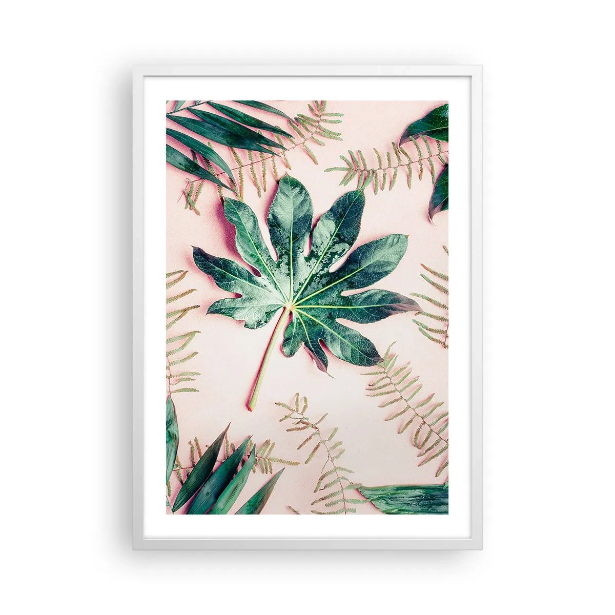 Poster in einem weißen Rahmen - Eine Studie von Grün auf einem rosa Hintergrund - 50x70 cm