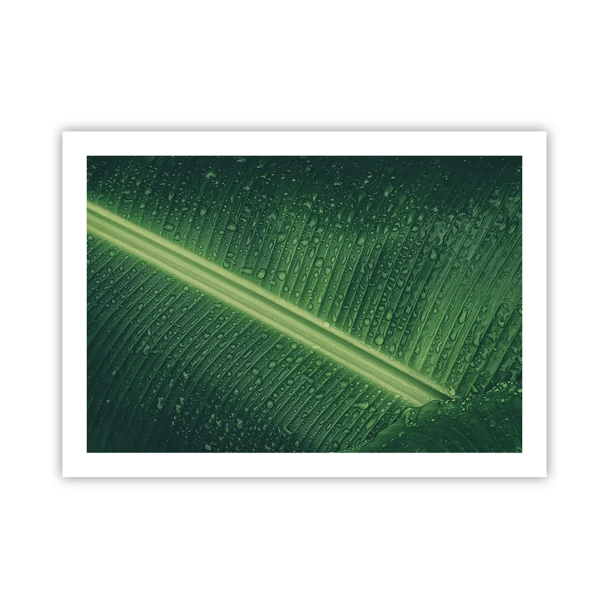 Poster - Die Struktur des Grüns - 70x50 cm